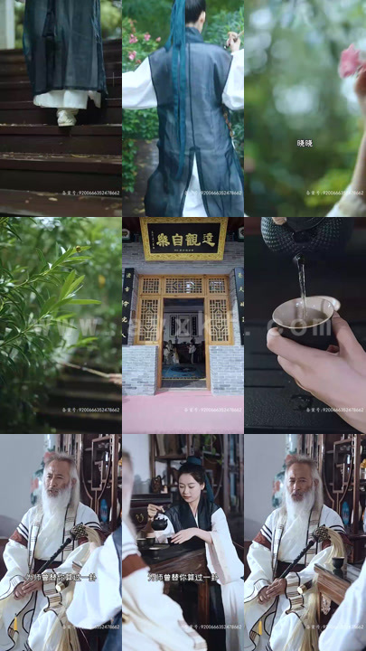 3970-我的道士女友(99集)