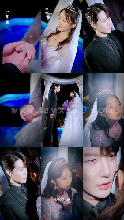 4071-薄总又被前妻虐哭了(89集)