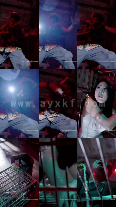 4087-九霄龙吟 小合集