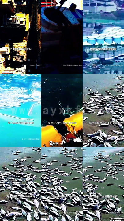 3648-末世重生之绝地反击(94集)