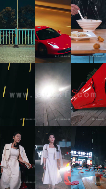 4509-龙吟尊主(100集)