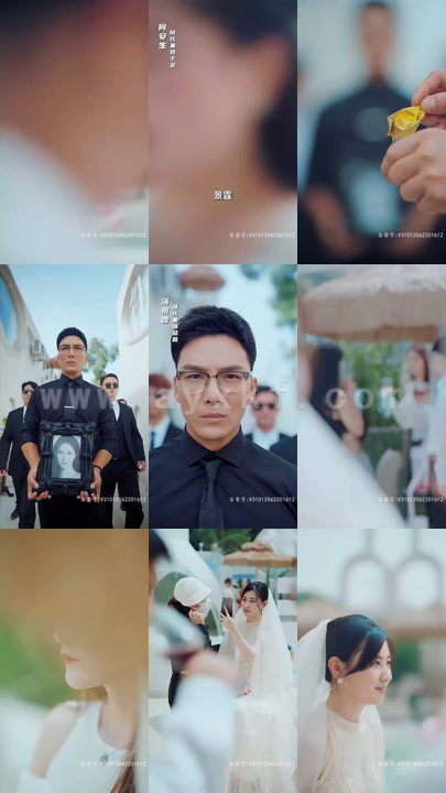 3990-薄先生-别来无恙(80集)