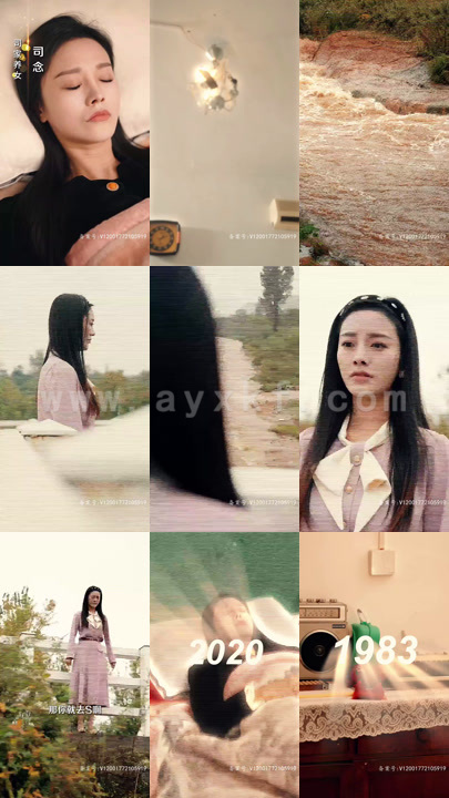 4494-昨夜思念如风 95集