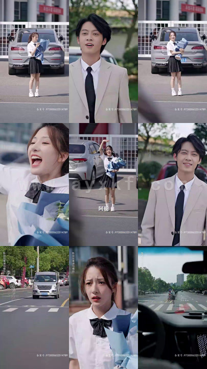 3766-替身总裁(98集)