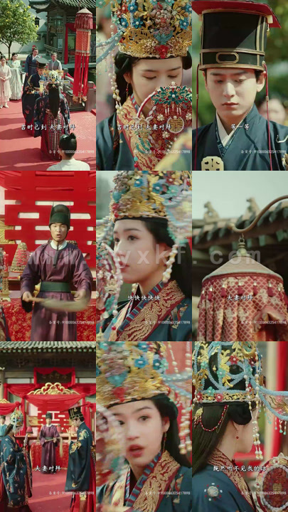 3931-绝色王妃倾天下 60集