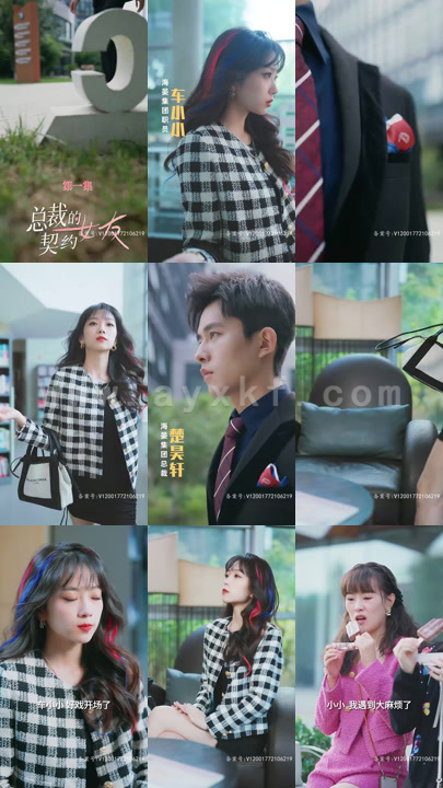 4490-总裁的契约女友(100集)