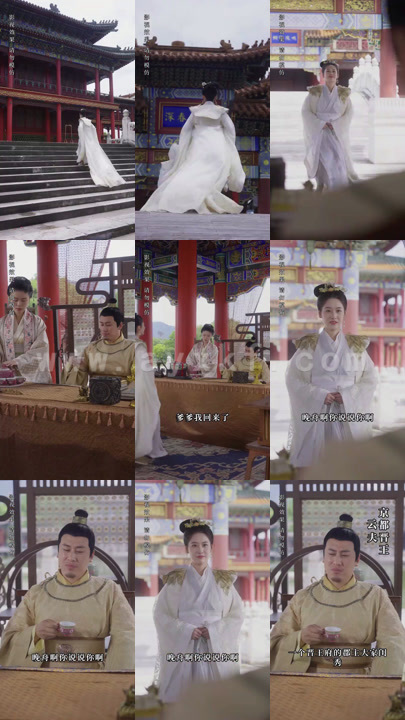 4550-郡主大人请恕罪(100集)