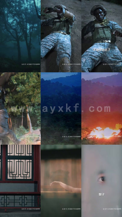 4390-大夏第一赘婿(94集)