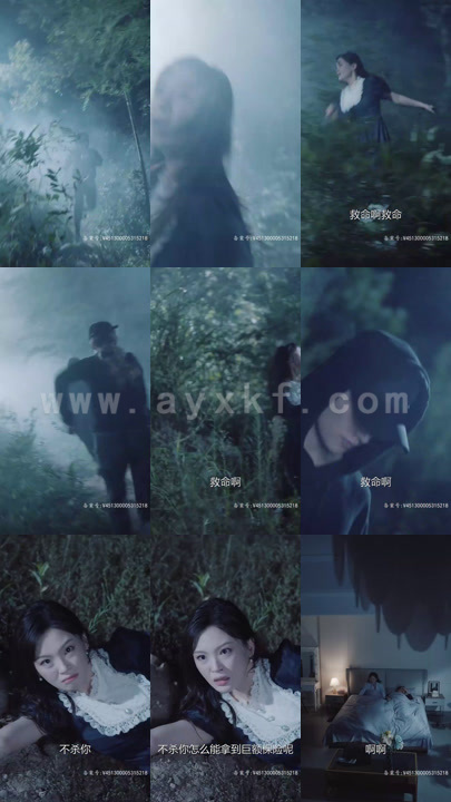 4522-漂亮妻子的反击(101集)