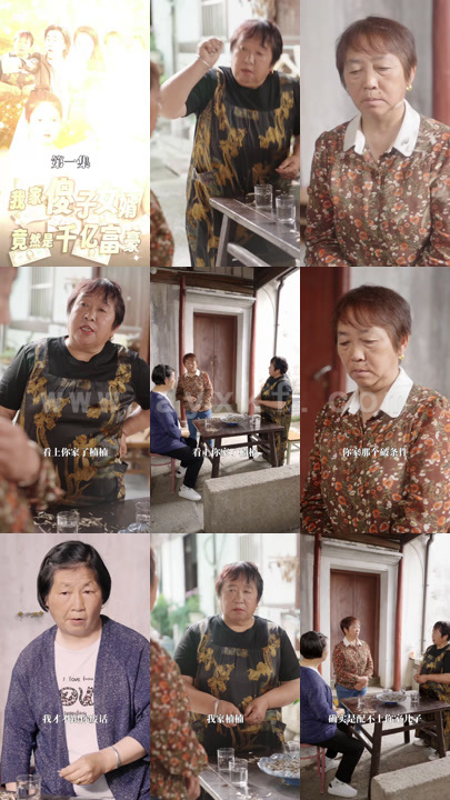 3903-我的傻子女婿是千亿富豪(100集)我家傻子女婿竟是千亿富豪