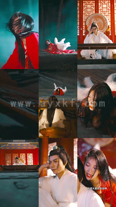 4026-九州王(104集)