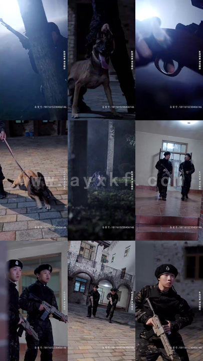 4461-隐狼(99集) 内容图1 一个实时收录全网最齐全的短视频短剧网剧小剧场的网站! 4461-隐狼(99集) 最新 图1张