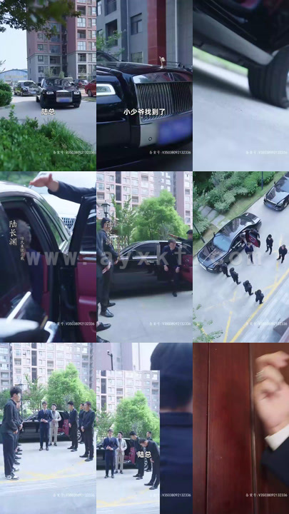 3550-总裁爹地人设崩了(82集)