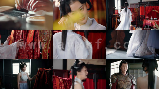 4067- 梅娘传 最新 图1张