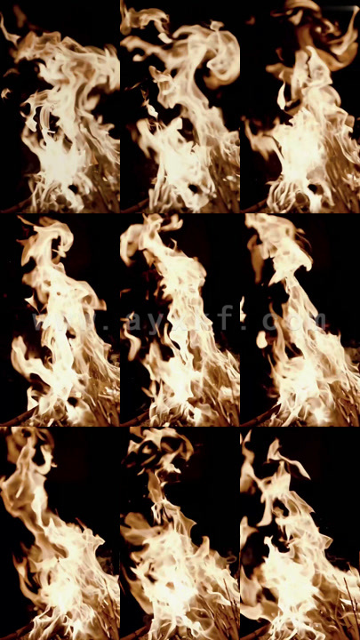 1311-神医霸主 最新 图1张