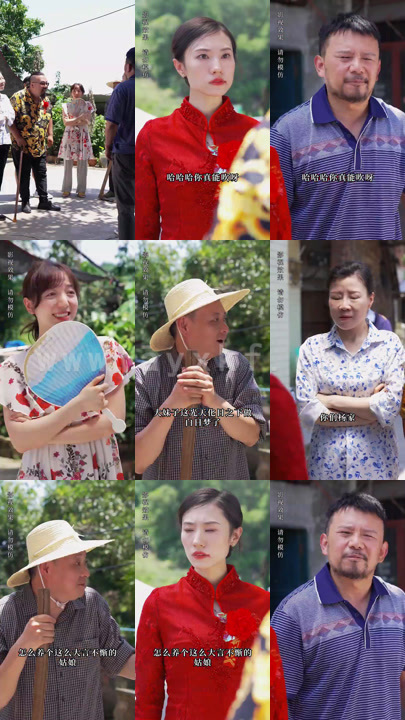 1493-美女总裁回乡探亲(100集)