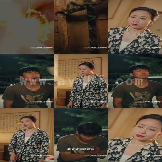 1926-亿万发财树(85集)