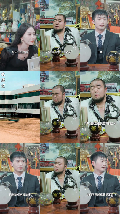 神眼赘婿（78集）