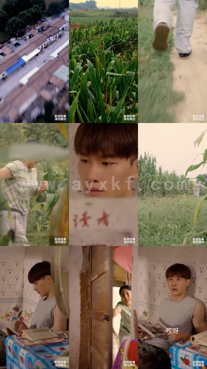 1001-农门小娇妻100集 内容图1 一个实时收录全网最齐全的短视频短剧网剧小剧场的网站! 1001-农门小娇妻100集 最新 图1张