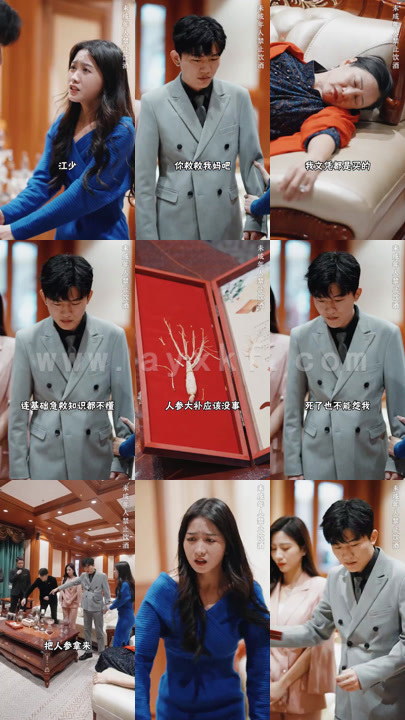 1427-废婿变神医(60集)