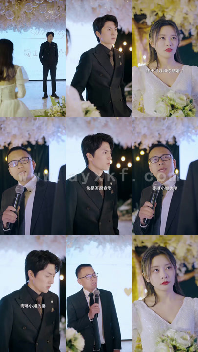 1193-消失的前妻