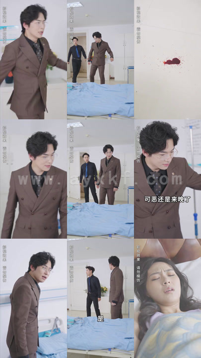 1621-离婚后带崽嫁给千亿霸总(101集)