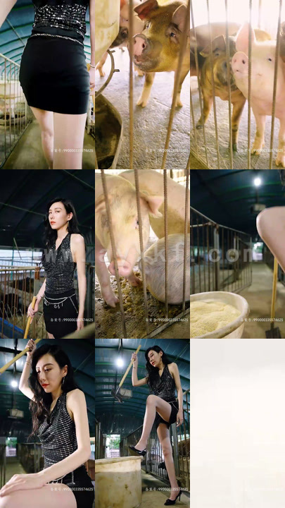 1812-重新活一次91