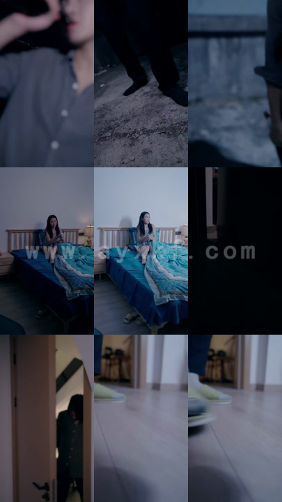 1040-超级上门女婿(93集)