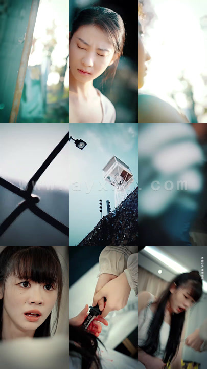 1337-我的悲伤与你有关(100集)