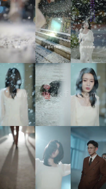 1127-不负情深部负卿(84集)