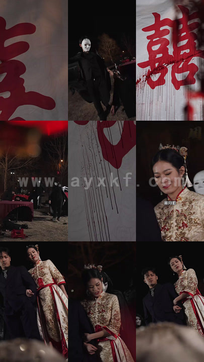 1587-至尊战狼(100集)