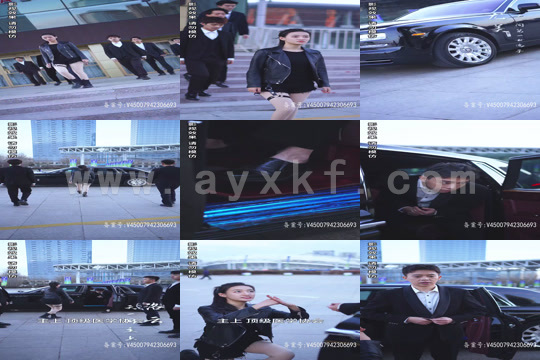 1909-极品武道医仙(94集)