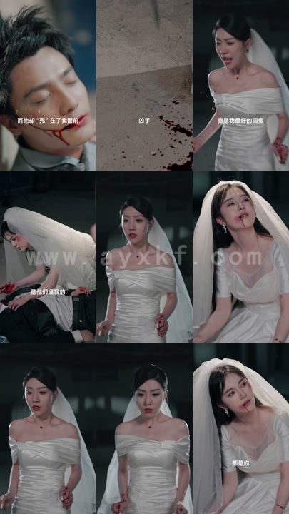 1343-我与时光不负你