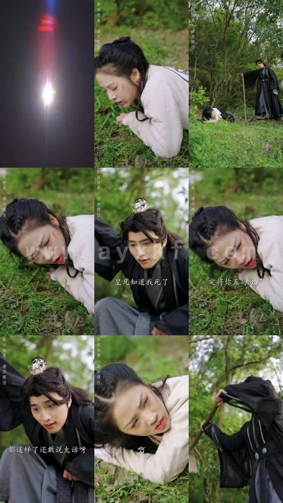 1437-公主手撕负心人(90集)