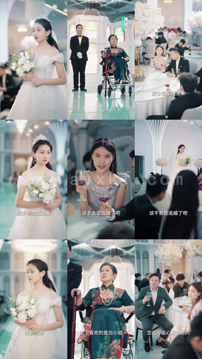 1096-消失的她-前妻归来(79集)