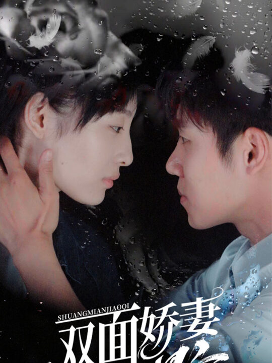 2059-双面娇妻有点野(100集)