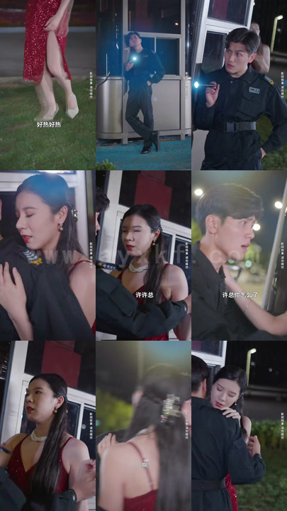 2099-女总裁的神医保镖(100集)