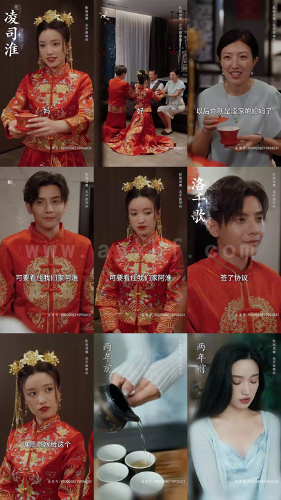 2441-野宠-100集 最新 图1张