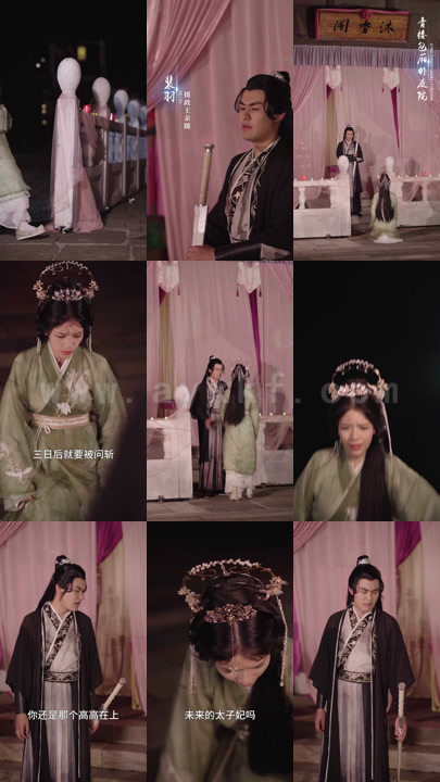 48集全集 最新 图1张