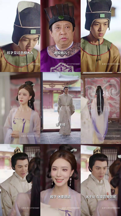 3493-盖世皇太子~100集