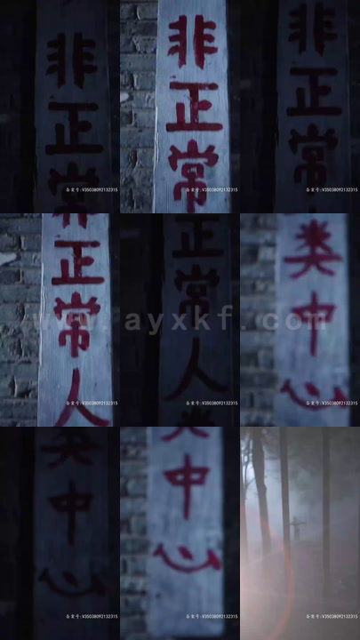 2396-镇世龙王(77集)