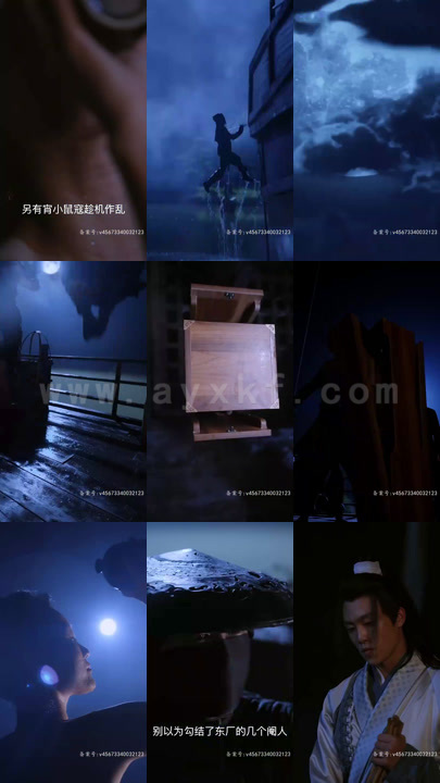 2265-开局被休-绝色千金跪求复台(81集)