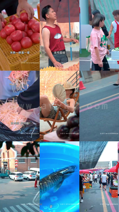 3436-龙威盖世(80集) 最新 图1张