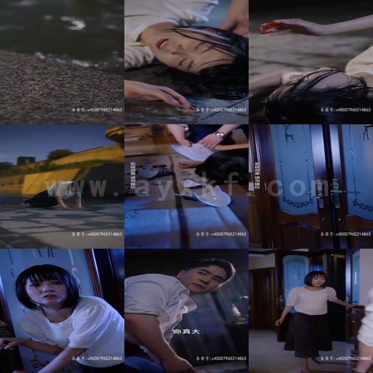 2586-妻子的复仇(83集)