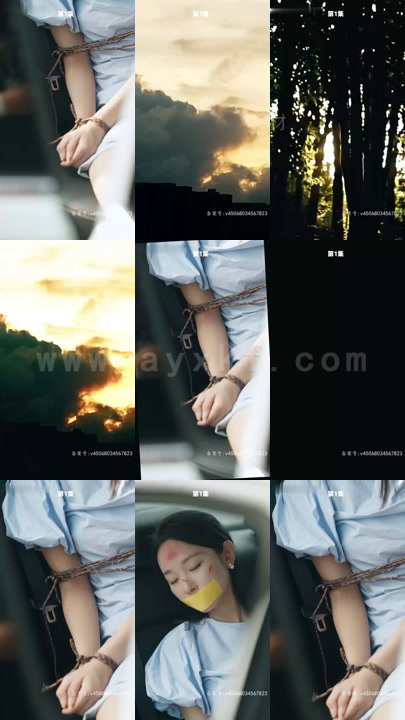 2340-重生后我嫁给了渣男的上司 内容图1 一个实时收录全网最齐全的短视频短剧网剧小剧场的网站! 2340-重生后我嫁给了渣男的上司 最新 图1张