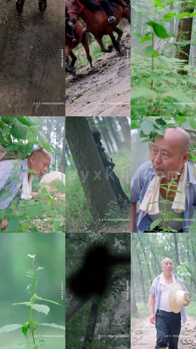 3380-战皇的美女夫人-长篇