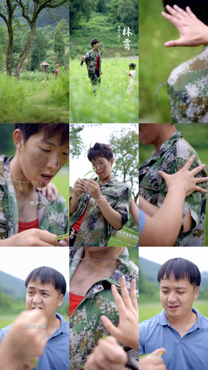 3014-桃花村医(90集)