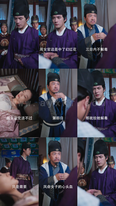 2930-太后万福共99集-只有40集 最新 图1张