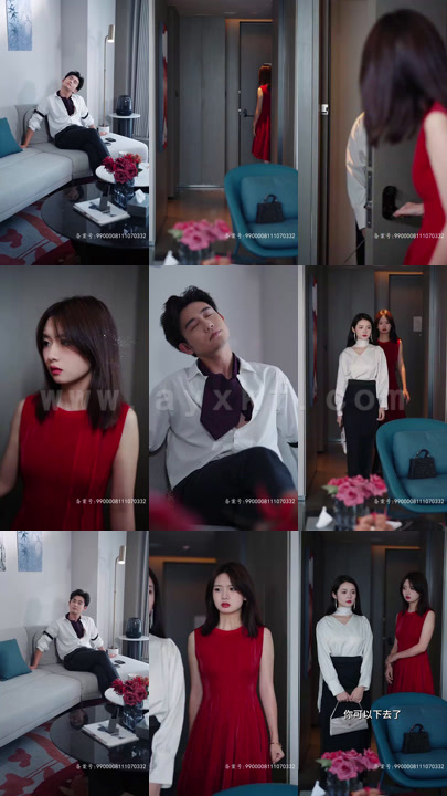 2253-AA周总每天都想官宣(100集)