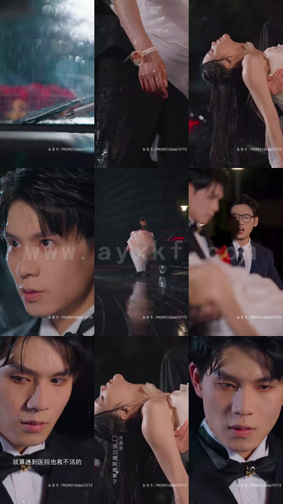 3377-重生后-虐文霸总拿了宠妻剧本(29集)